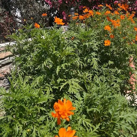 Dilek Apart Hotel 2*